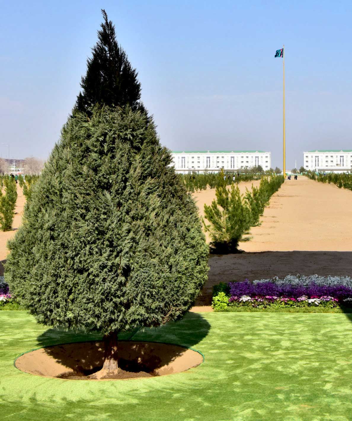 Paýtagtymyzyň demirgazyk künjeginde täze seýilgäh döredilýär