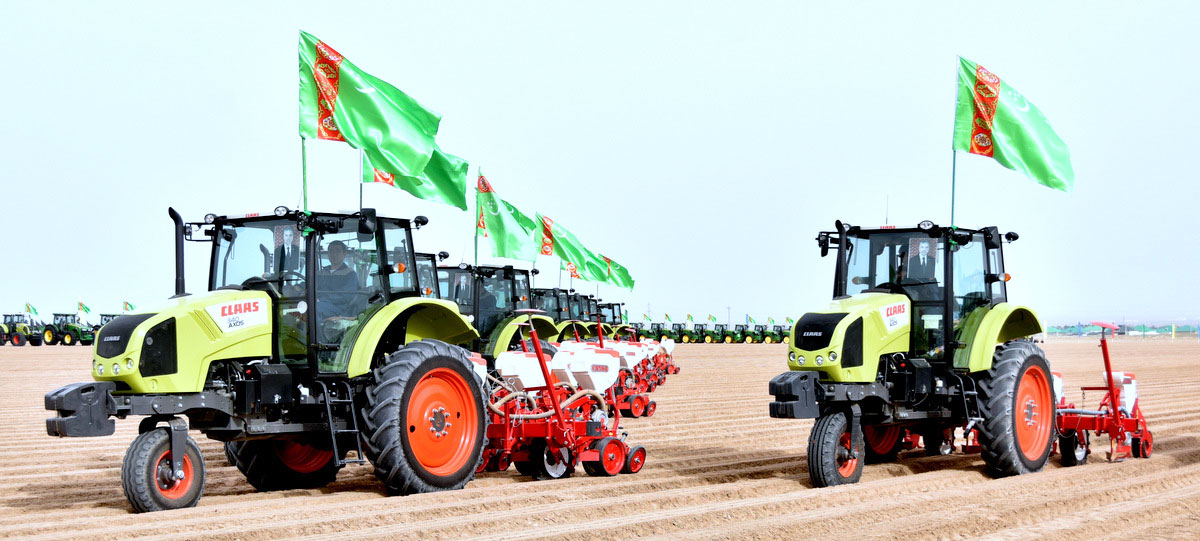 Türkmenistanda gowaça ekişine girişildi