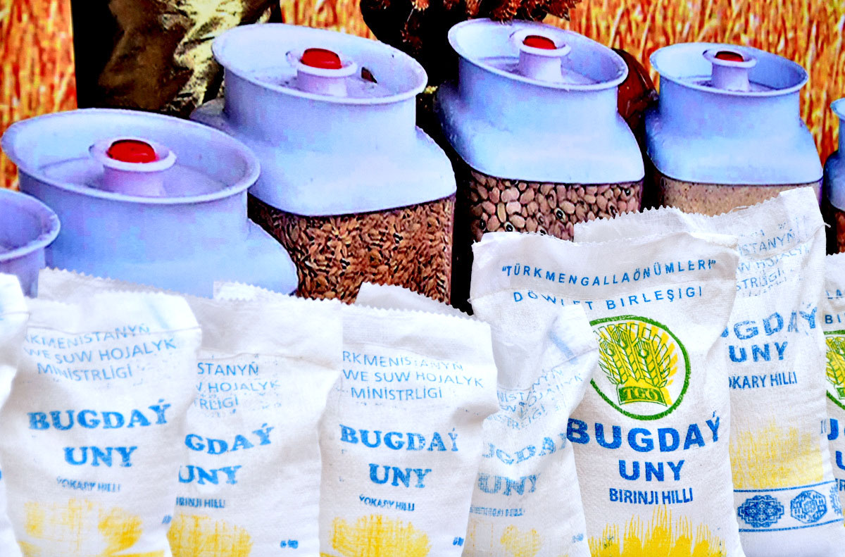 Türkmenistanda gowaça ekişine girişildi