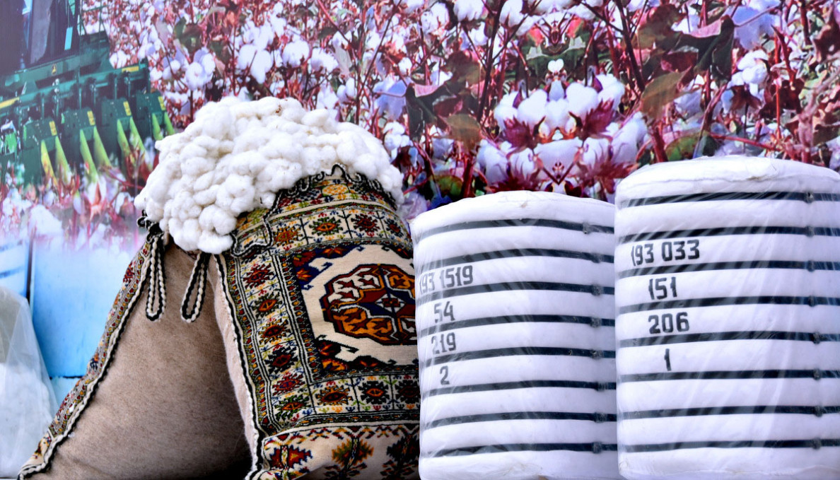 Cotton producers of Ahal, Balkan, Lebap and Mary regions start sowing