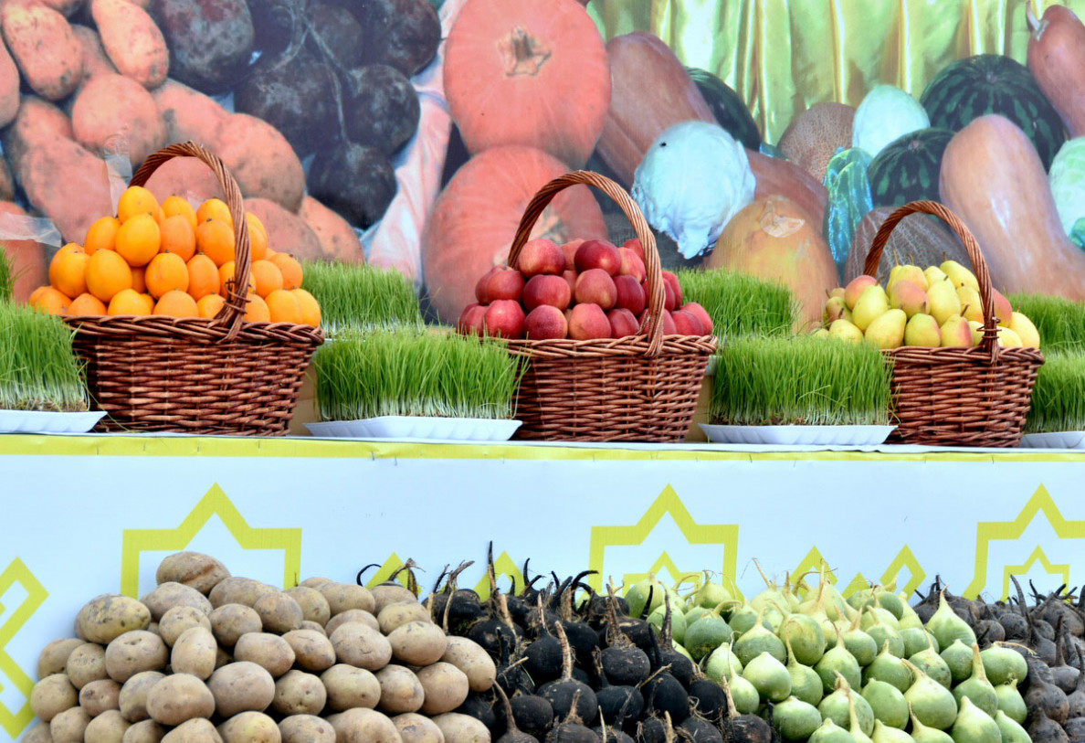 Cotton producers of Ahal, Balkan, Lebap and Mary regions start sowing