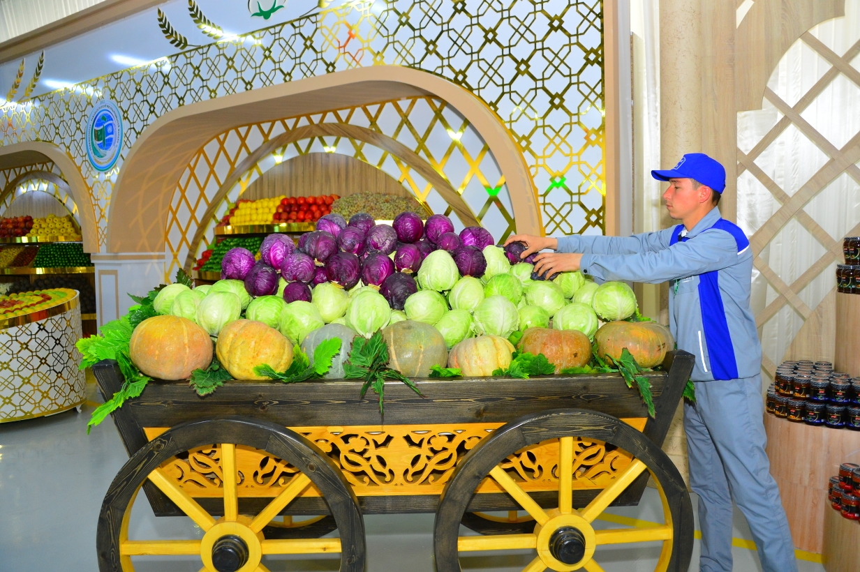 Сеть тепличных хозяйств пополнили высокотехнологичные комплексы