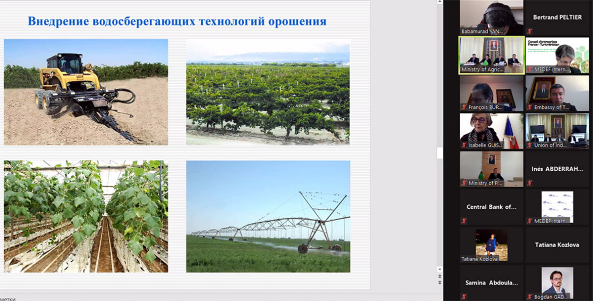 French business is interested in joint projects in agricultural complex of Turkmenistan