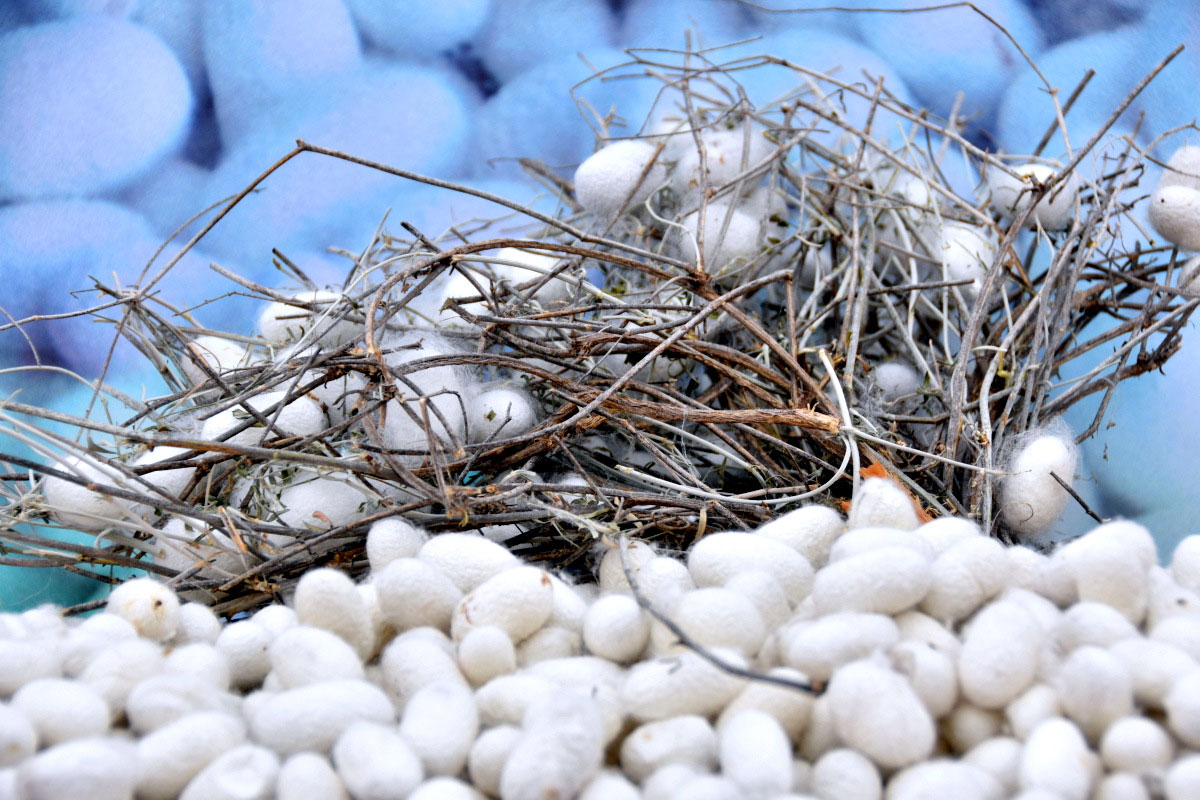 Market mechanisms in agriculture