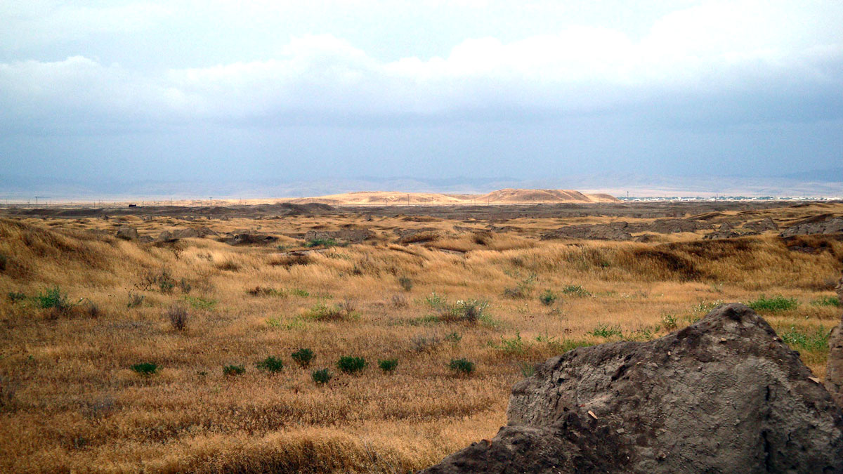 Елена Давидович и Борис Литвинский: две легенды, одна судьба