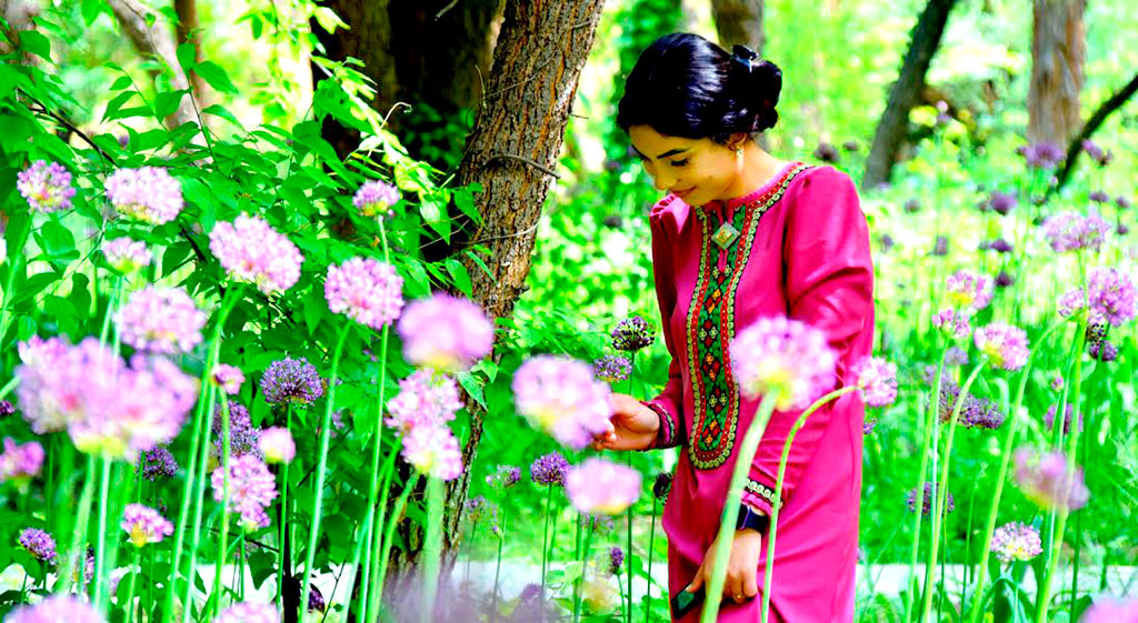 Фиолетовое чудо Ашхабадского ботанического сада