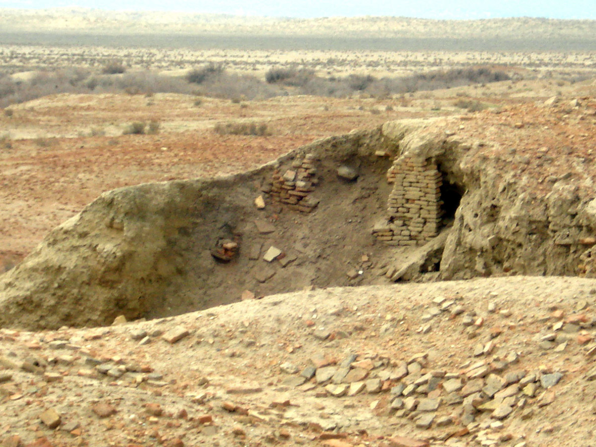 Ýelena Dawidowiç we Boris Litwinskiý: iki şahsyýet, bir ykbal