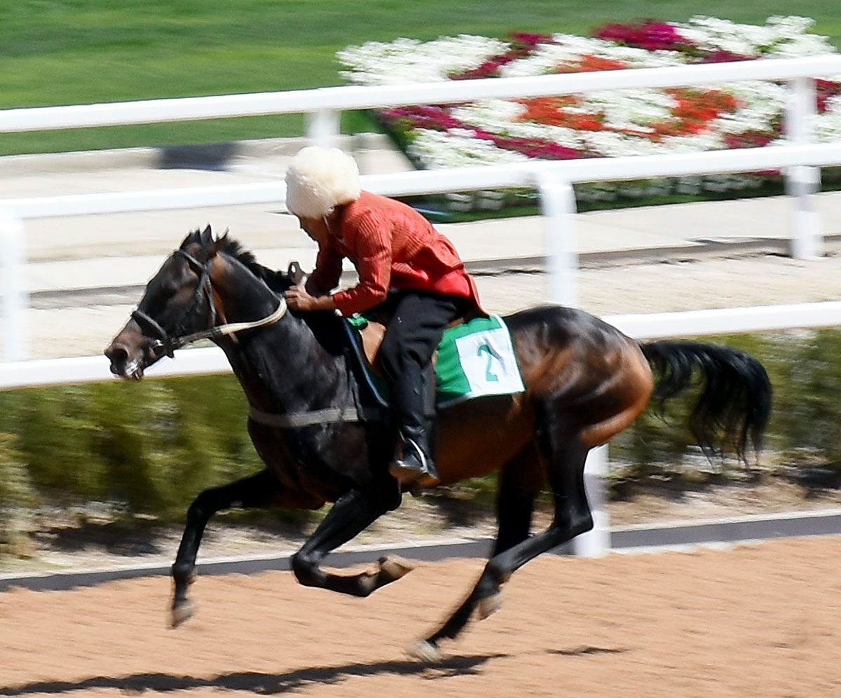Торжества в Марыйском велаяте в честь туркменского скакуна: скачки и конференция