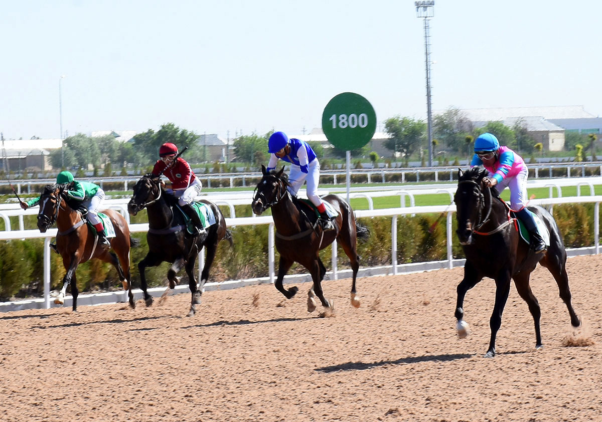 The events in Mary Region in honor Turkmen horse: races and conference