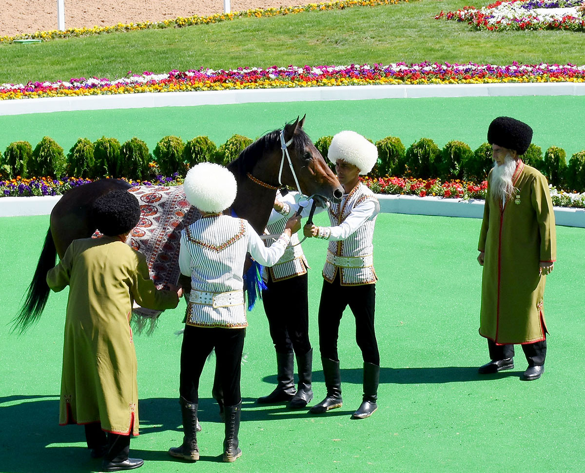 The events in Mary Region in honor Turkmen horse: races and conference