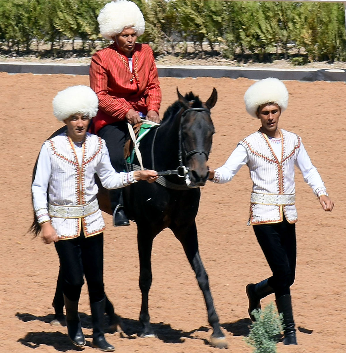 The events in Mary Region in honor Turkmen horse: races and conference