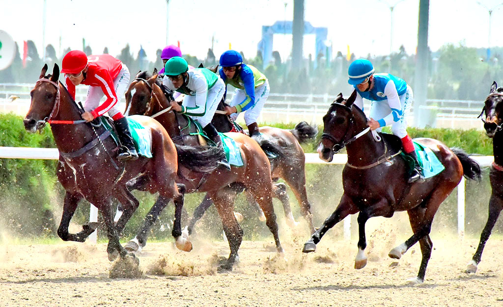Человек, связавший судьбу с ахалтекинскими скакунами
