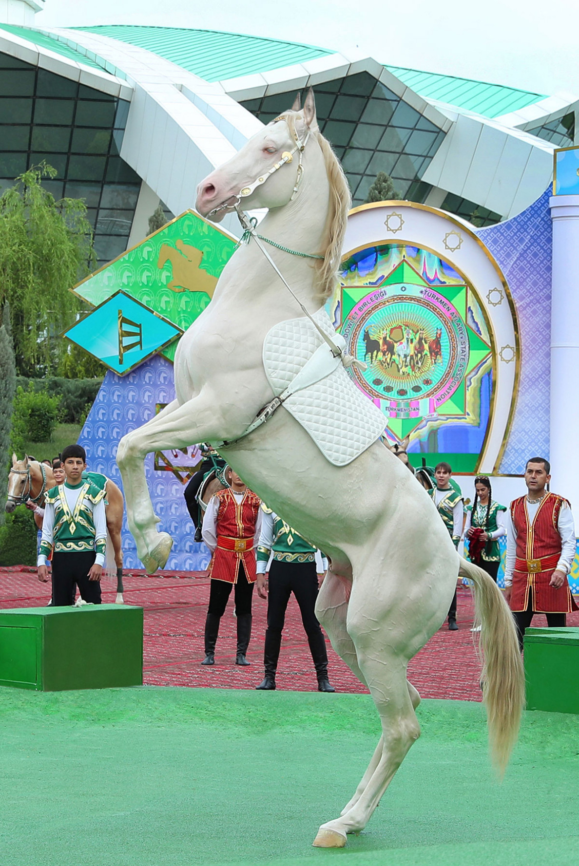 Celebration races take place in international equestrian complex