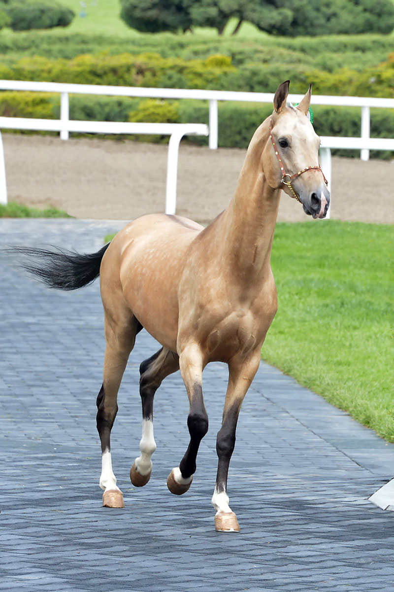 Следуя за мечтой, или Несколько кадров из жизни фотографа