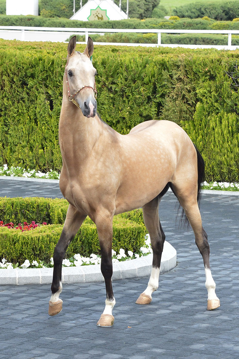 Следуя за мечтой, или Несколько кадров из жизни фотографа