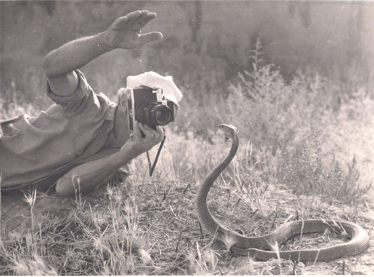 Следуя за мечтой, или Несколько кадров из жизни фотографа