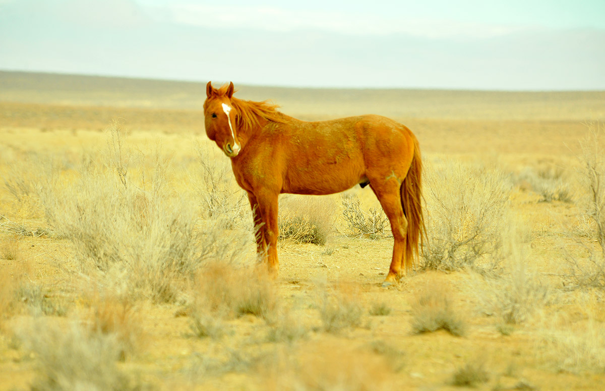 Оператор Довлетгельды Худайбердыев: жизнь за кадром