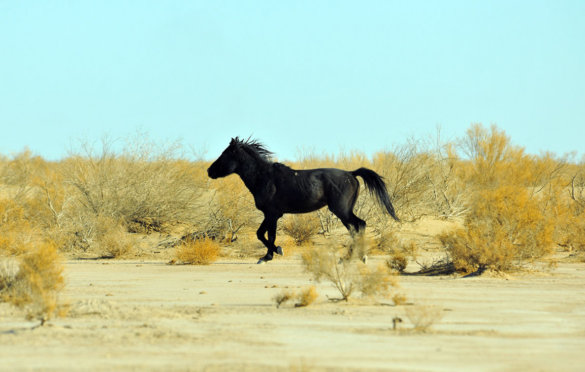 Operator Dovletgeldy Hudayberdiyev: Life behind the scene