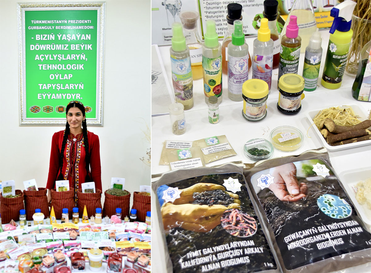 Международное сотрудничество в области инновационной деятельности – на повестке дня форума