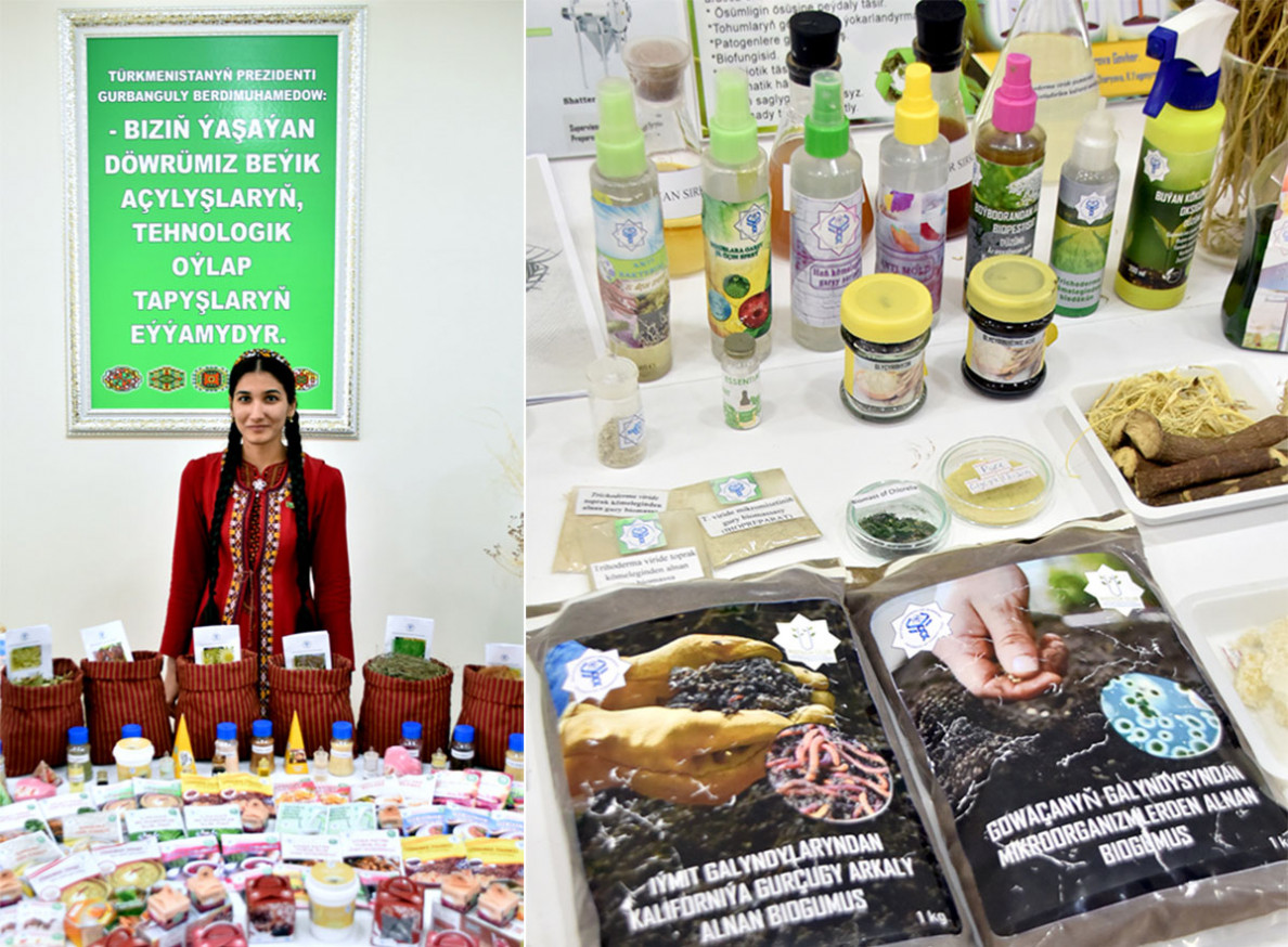 International cooperation in the field of innovation is on the forum agenda