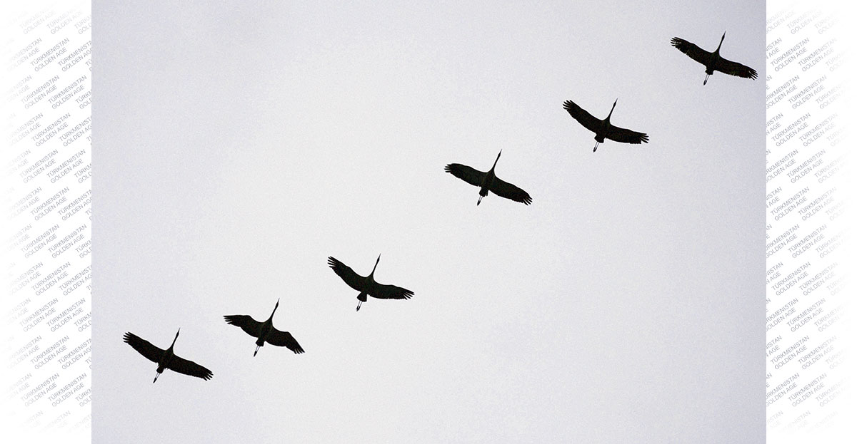 Международный день биологического разнообразия: решения в интересах устойчийвого развития