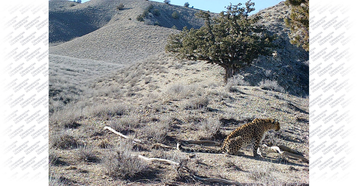 Международный день биологического разнообразия: решения в интересах устойчийвого развития