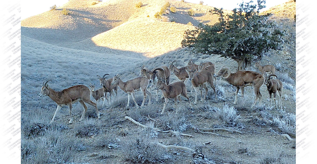 Международный день биологического разнообразия: решения в интересах устойчийвого развития