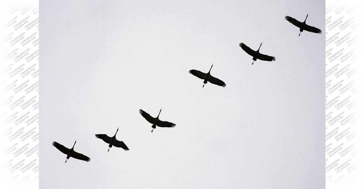 International Biological Diversity Day: Solutions for sustainable development