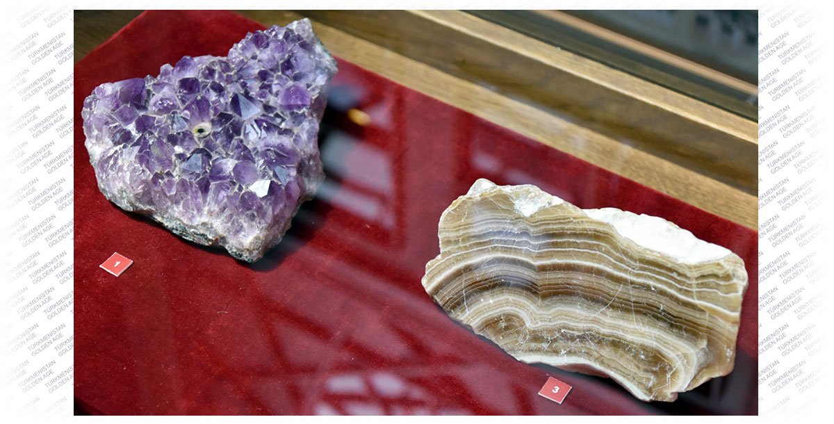 The State Museum welcomes to exhibition «Science – Human Wealth»