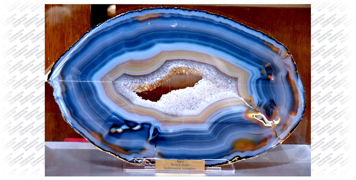 The State Museum welcomes to exhibition «Science – Human Wealth»