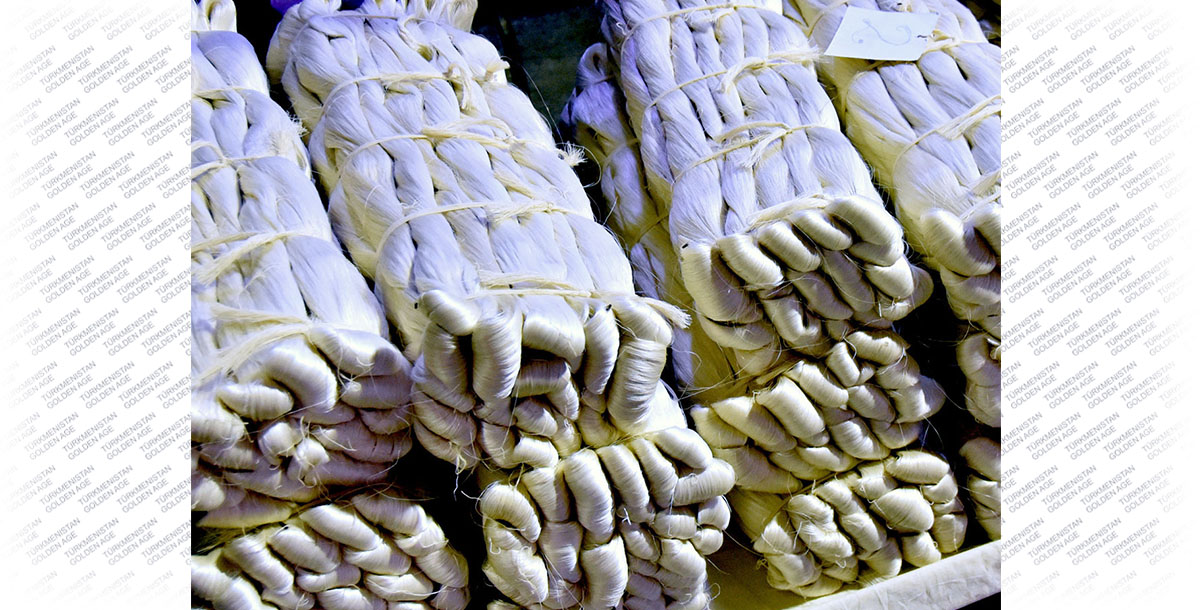 The way to Turkmen silk: processing of silkworm cocoons starts in Ashgabat