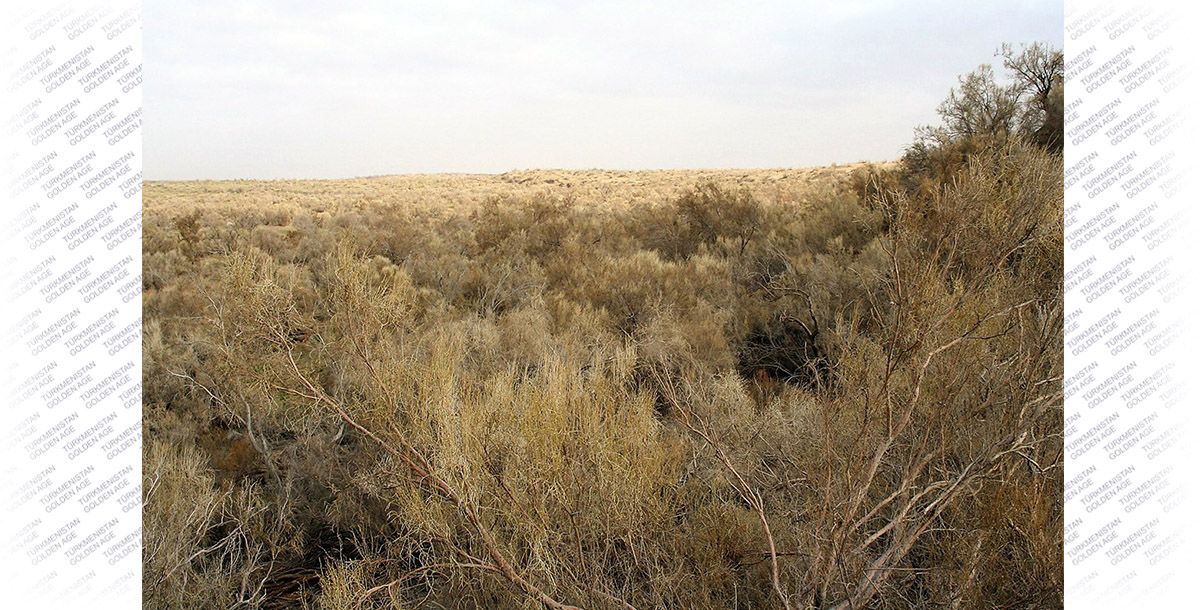 A Nomination dossier is being prepared - «Turanian deserts of the temperate zone»