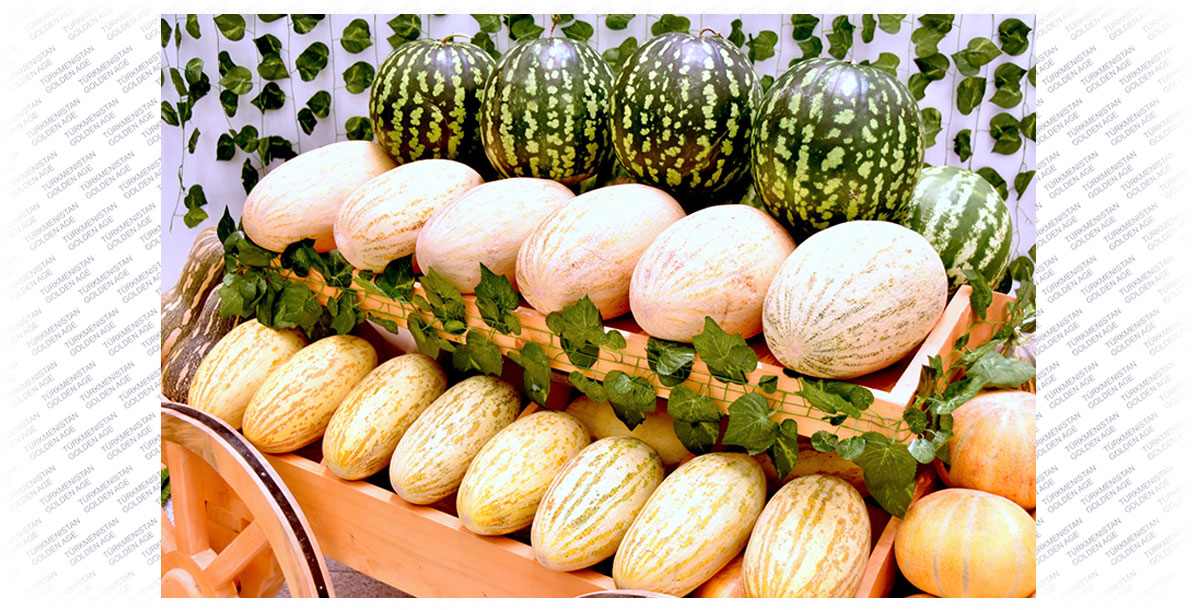 Забота о земле отозвалась урожаями