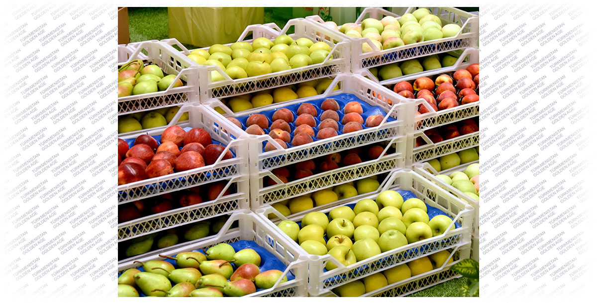 Topraga siňdirilen yhlasyň miwesi