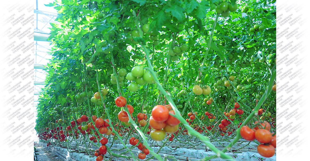 Растет экспорт и количество рабочих мест