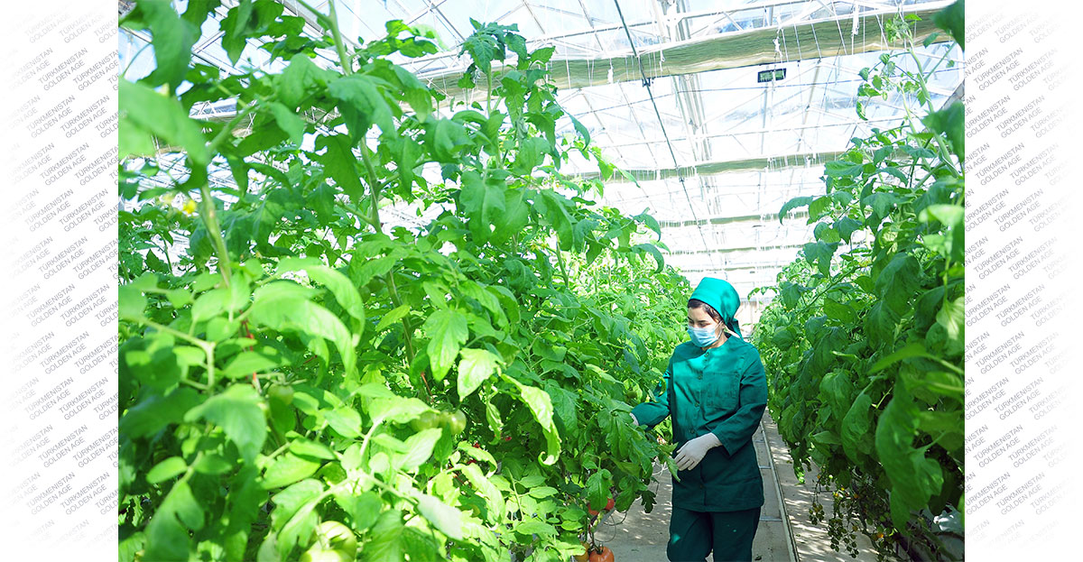 Растет экспорт и количество рабочих мест