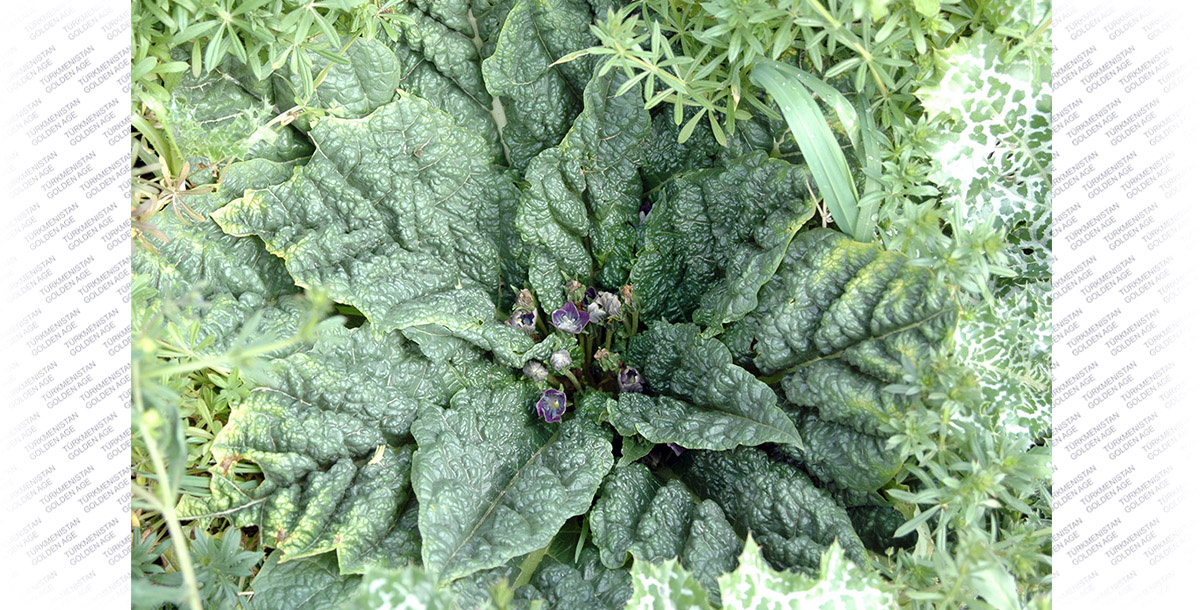 Сумбар - речная долина в объятиях гор