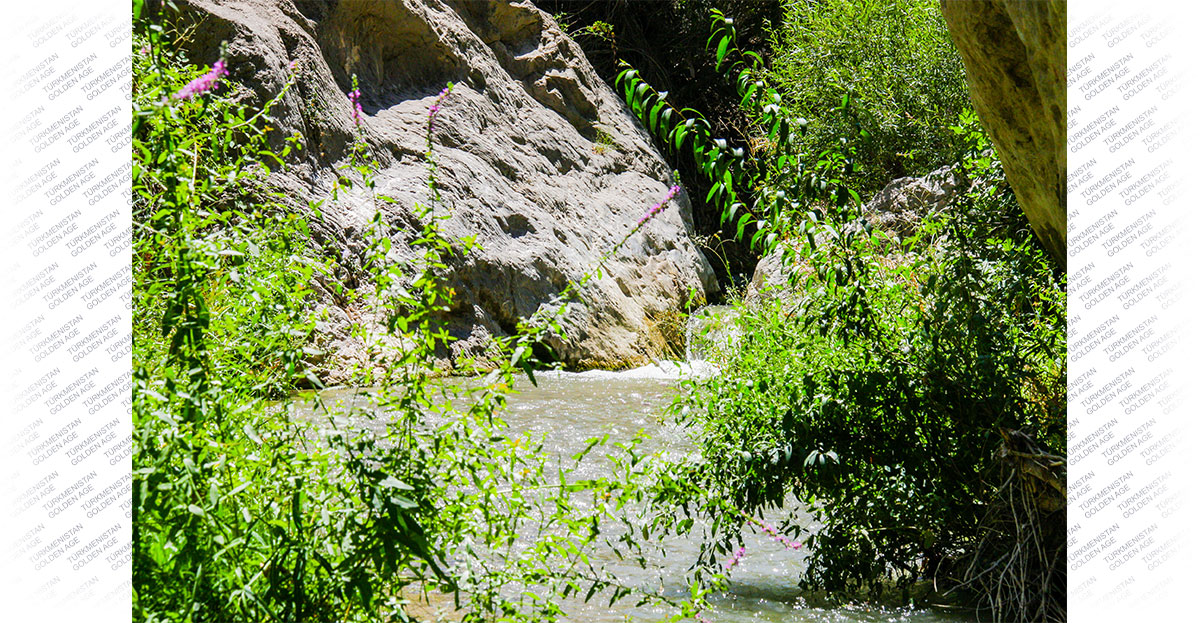 The aromas of herbs and the coolness of mountain gorges