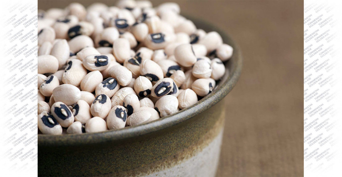 Through the rational use of resources