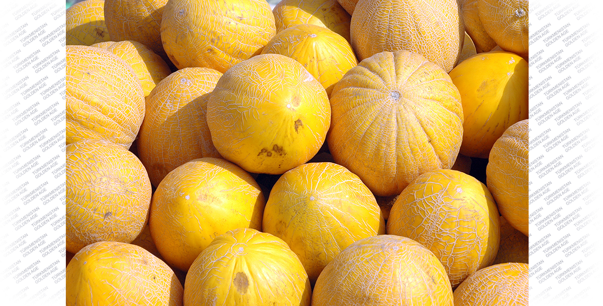 Край необыкновенно сладких дынь