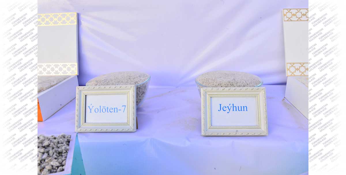 В добрый путь, караван «белого золота»!