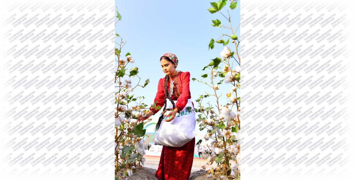 Godspeed you, caravan of «white gold»!