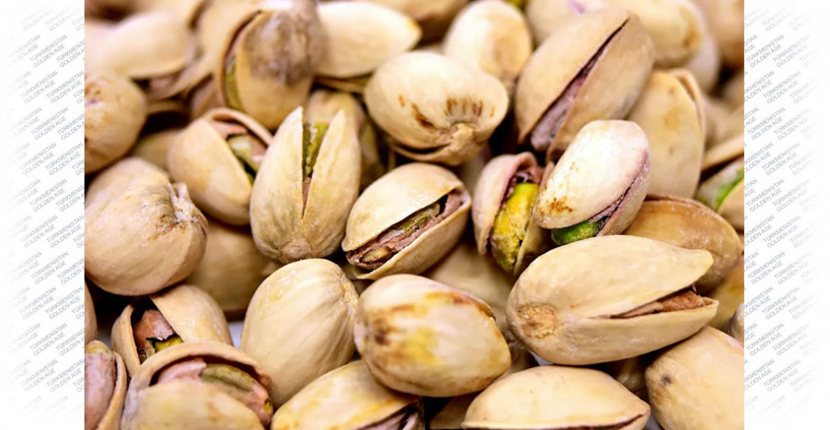 Turkmen pistachio to strengthen immunity