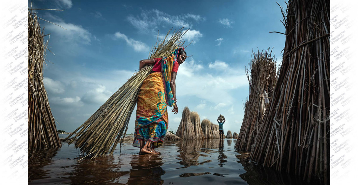 Halkara fotosuratlar bäsleşigi başlandy