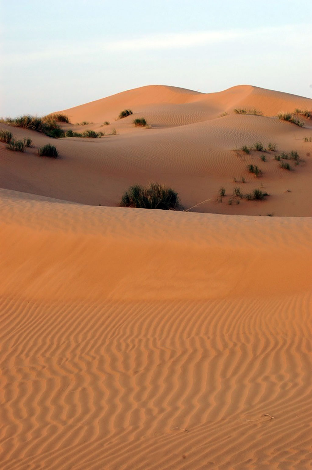 National system of desertification monitoring