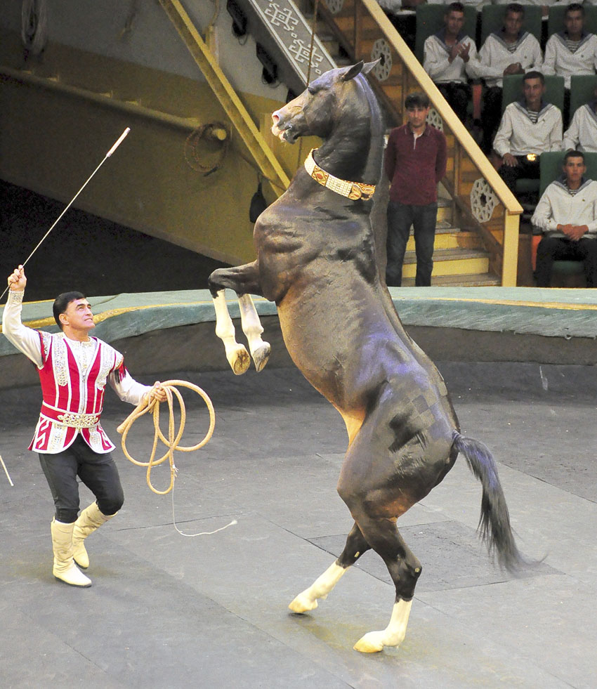  Medeniýet hepdeligi: bäşinji gün