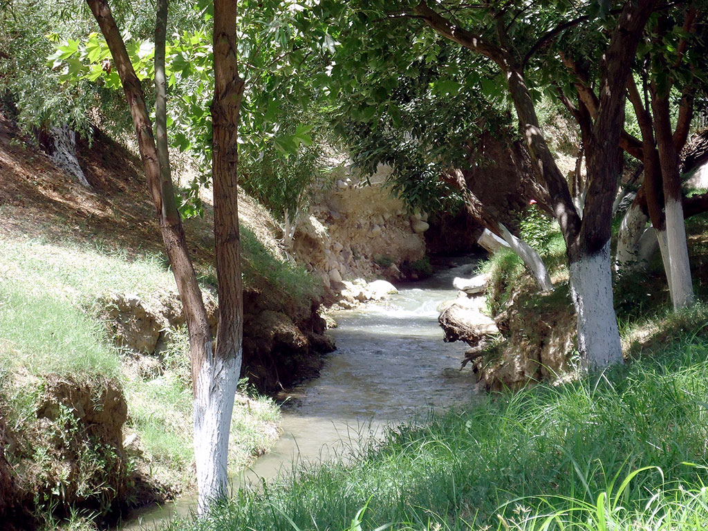 Для отдыхающих в Гёкдере школьников организованы экологические уроки 