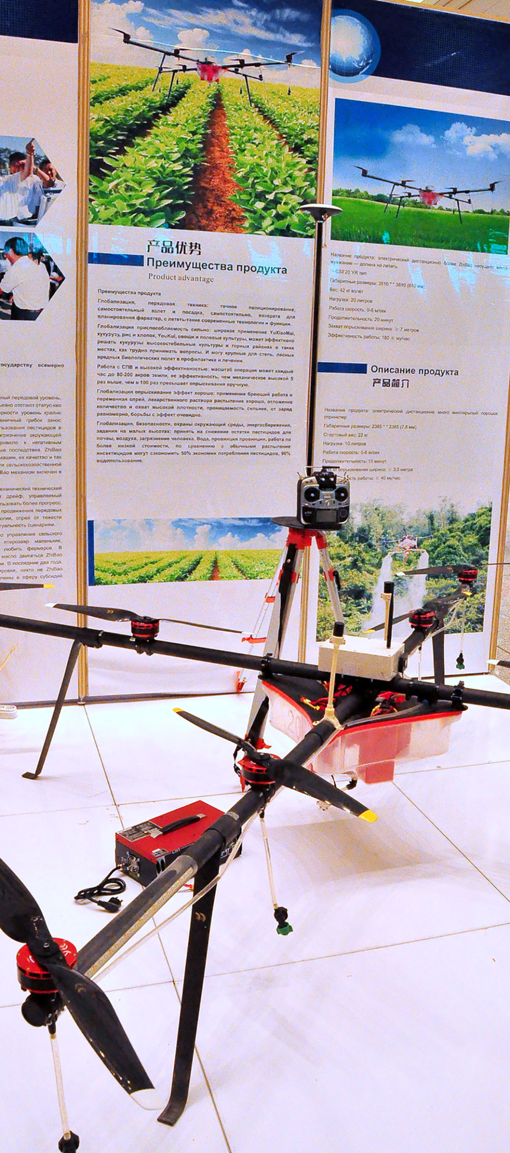 Chinese companies evince interest in new joint projects in Turkmenistan 