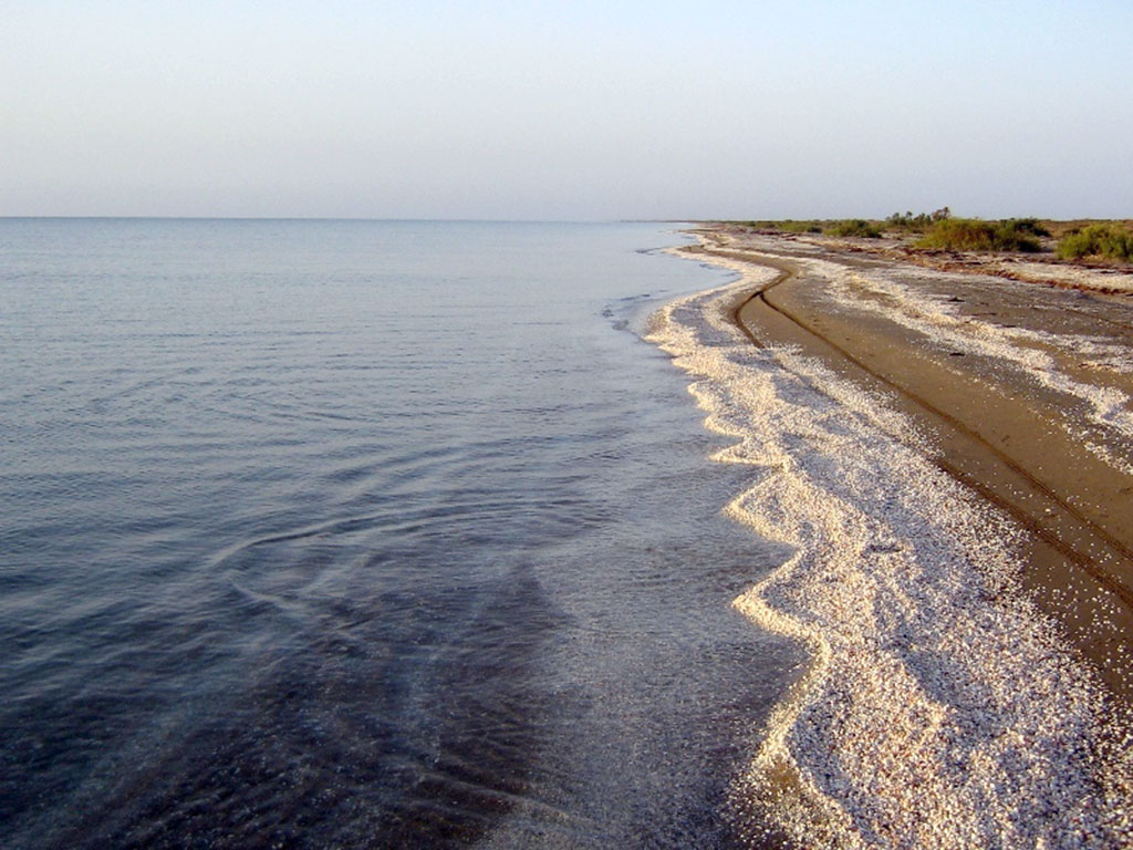 Hazar State Natural Reserve is 85 years old