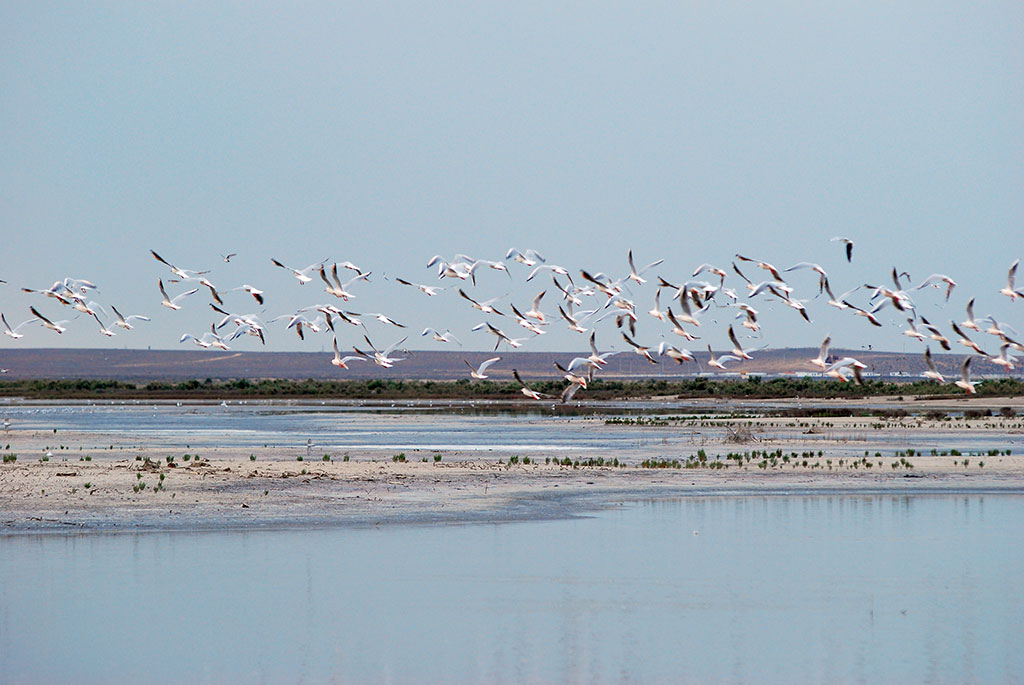 Hazar State Natural Reserve is 85 years old
